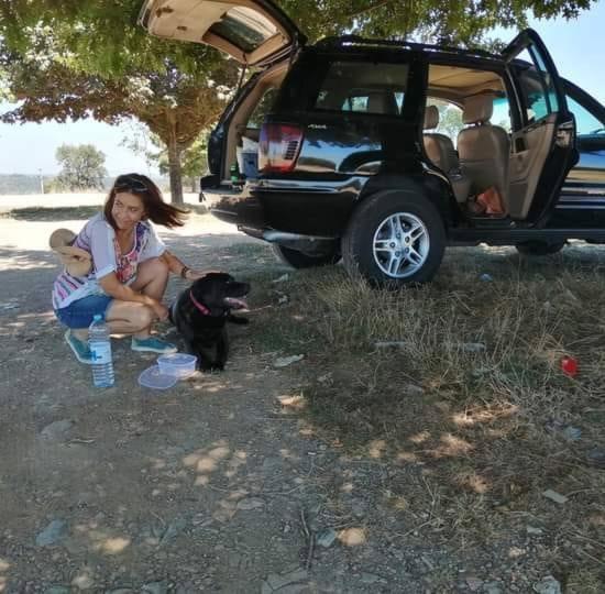 Quinta Da Lousa Guest House - Valongo - Porto Εξωτερικό φωτογραφία